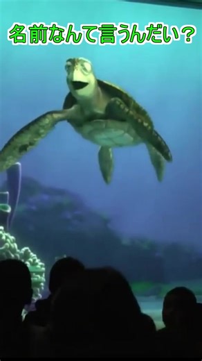 タートルトークの神回答を聞こう！