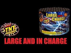 Large and In Charge - TNT Fireworks® Official Video