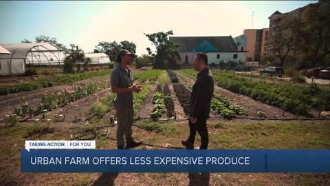 Shopping at local farms could be the solution to avoiding tariffs