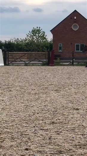 MY FIRST CANTER ON MARNEY❤️ #fyp #equestriansoftiktok #fypシ #horses #horsesoftiktok #equestriangirl | Fiona Brown | Facebook