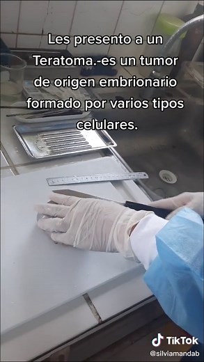 S I L V I A on TikTok