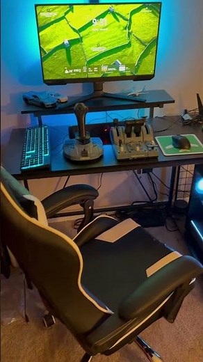 My flight sim setup