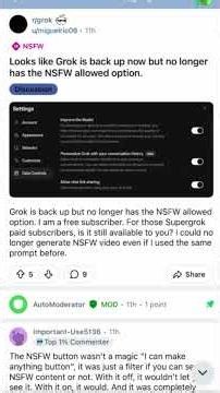 Grok NSFW preference option removed from Settings