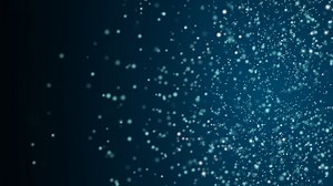 Development Insights