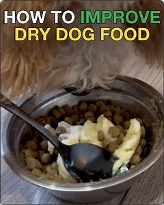 216 reactions · 78 shares | 數 Do you know the healthiest meat for dogs? Chances are its not in your dog's food! Which means your dog may be missing out on amazing benefits, like strong muscles, shiny coats, healthy teeth & gums, and a supported immune system. But helping make sure your dog is getting all the vitamins they need can be EASY! Try Nutra Complete now!  | Ultimate Pet Nutrition | Facebook