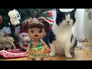 Baby Alive Harper’s Morning Routine