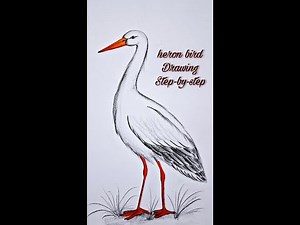 How to Draw a Heron: A Step-by-Step Guide for Beginners