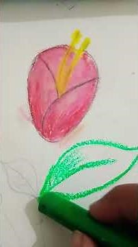 lilies drawing 🌷🌷🌷#drawing