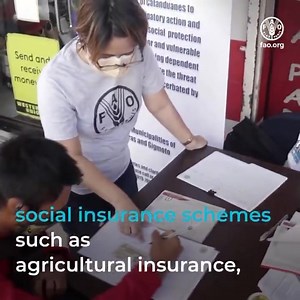 Smallholder farmers are among those most vulnerable to disasters, many of which are predictable. By linking #AnticipatoryAction and #SocialProtection, we can mitigate the impacts of disasters. Why react to disasters if we can protect communities ahead of time? Via Food and Agriculture Organization of the United Nations (FAO) | United Nations Biodiversity | Facebook