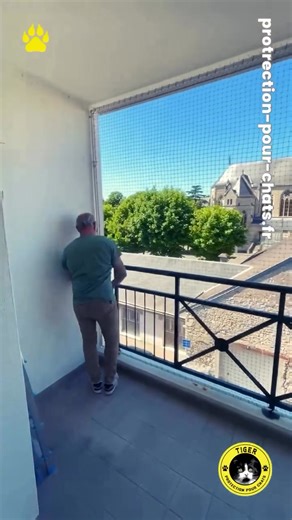 🐾 1 chat sur 2 chute au moins une fois dans sa vie. Protégez votre balcon ou fenêtre avant le drame. Nous fabriquons des protections sur mesure, installées directement chez vous par nos équipes pros. 😻 Parce qu’un bon parent ne laisse pas ses chats tomber | Tiger Protection pour chats