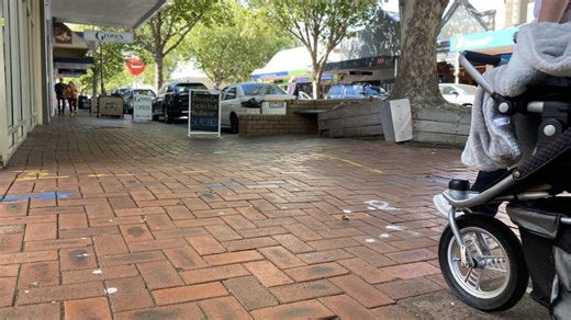 Hamilton's footpaths warp due to London plane tree roots