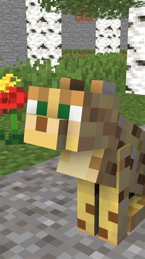 When Your pet save your day | #Shorts