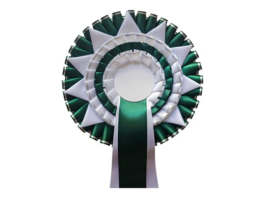 Custom Rosette Ribbon – Green & White, Personalized Award - Etsy UK