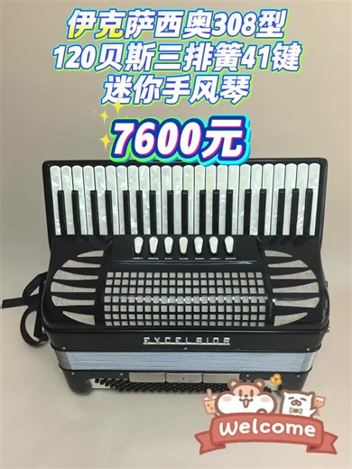 伊克萨西奥308型迷你手风琴