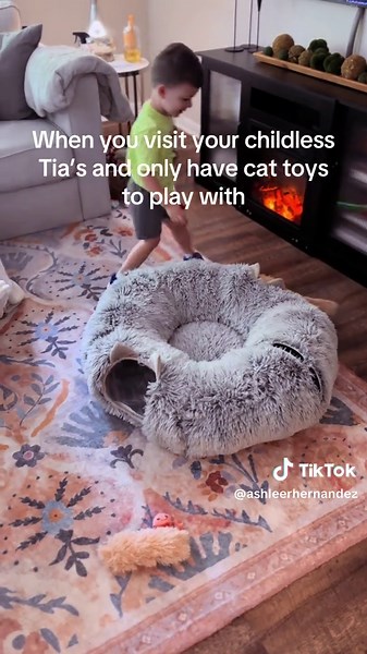 Jack's Castle: Cat Toys Take Over Tia's House!