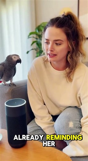 My Parrot Got Jealous of Alexa — This Love Triangle Is Wild 😂🦜#talkingparrot