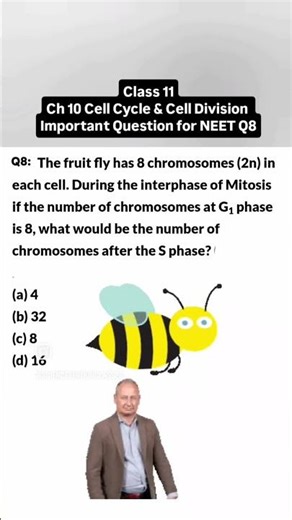 Class11 biology ch10 Cell Division | Neet important Questions practice #neet2026 #medico #boards2026