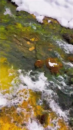 Sound of a babbling brook #flute