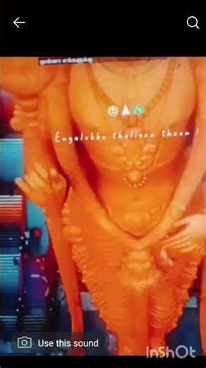 🐓💚🦚#✨💫🌎💯