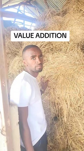 29 reactions |  Join the Value Addition Movement in Grass Pasture...