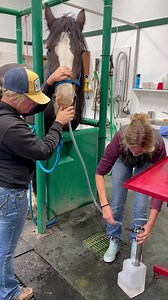 156K views · 2.1K reactions | ❤️ ANNE❤️ will spend another night...