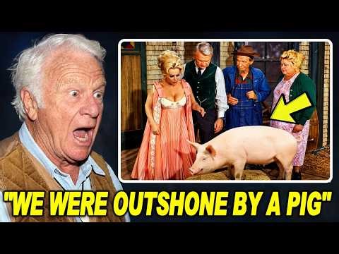 Green Acres (1965): 15 Weird Facts You Didn't Know!