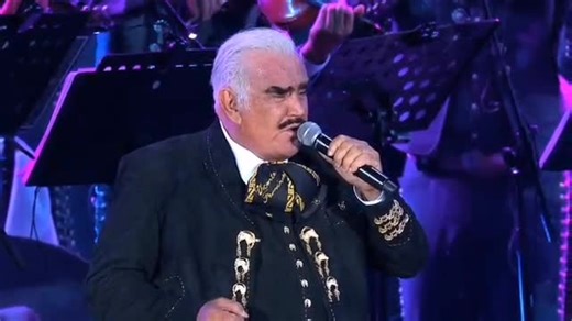 VICENTE FERNÁNDEZ on TikTok