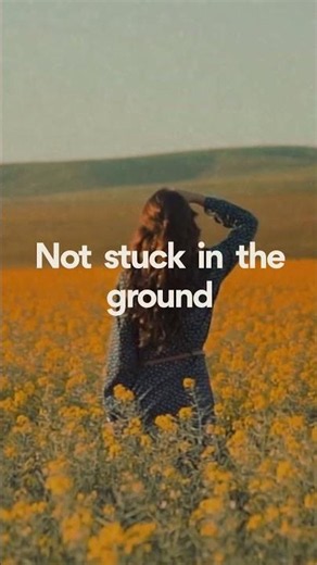 Let Me Be Light Again - Looking back, finding a path forward