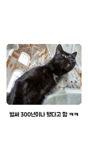 고양이를 정식으로 취업 시킨 곳