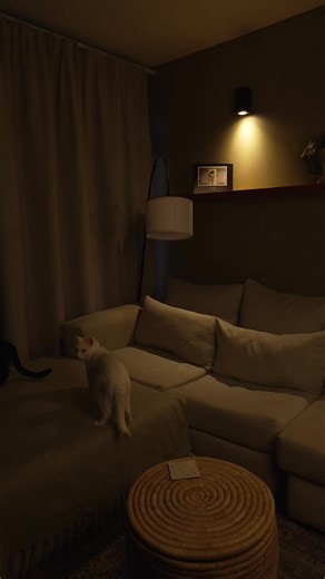 The right lamp doesn't just light up a room; it creates a mood, defines a space, and turns a house into a home…🛋️ Featuring in order: FLOOR LAMP BLACK CURVED METAL ARC 180cm H (R999) TABLE LAMP BUBBLE BASE (R569) TABLE LAMP GOLD METAL DOME (R369) FLOOR LAMP METAL TRIPOD BLACK & GOLD SHADE 155cm (R899) TABLE LAMP BLACK CYLINDER BASE PLEATED WHITE SHADE (R499) Find yours at Decofurn Furniture. Link in the bio. #lighting #decofurnfurniture #styleyourspace | Decofurn Furniture