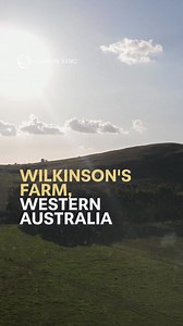 Meet the Wilkinsons — WA grain growers who know that uncertainty...