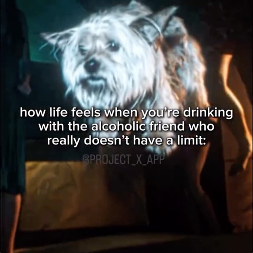 𝗣𝗥𝗢𝗝 𝗫 𝗔𝗣𝗣 💫 on Instagram: "do u want to goto Project X ⁉️🫣 FOLLOW @project_x_app and join waitlist‼️ Don’t miss your next Project X Send us your epic party vid to be tagged back! #projectx #houseparty #collegeparty #party #viral projectx projectxparty fyp foryou explore instagram Content from Project X App may not be used, modified, or have another brand’s logo added without explicit written permission. When reposting content, credits must be given to the original editor @project_x_ap