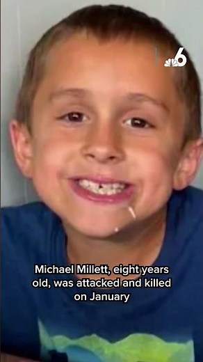 Dogs that attacked and killed 8-year-old boy in Florida were euthanized