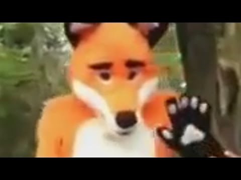 RIP FURRIES
