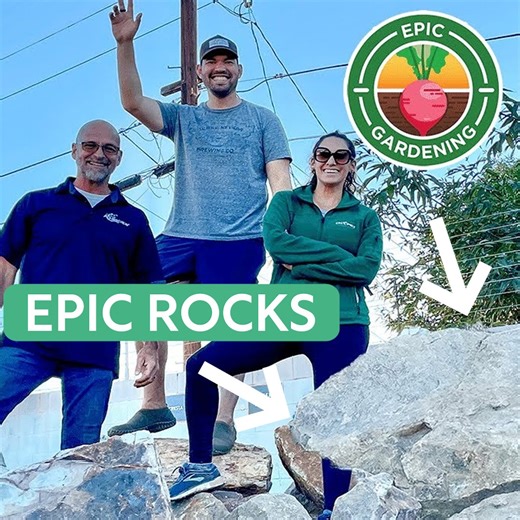 3.1K views · 123 reactions | Let's Build This Pond! *Epic Gardening Pt 3* | Ed The Pond Professor | Facebook