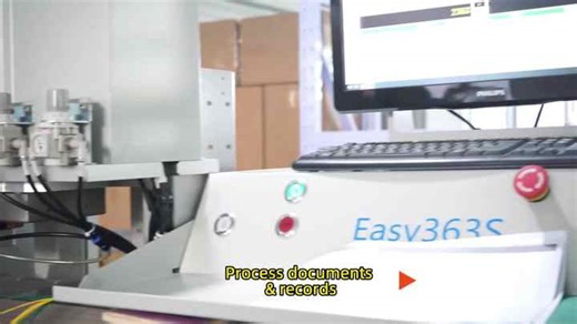 Oem Odm Factory Based Customization Full Custom Cable Clip Assembly Machine Custom Cable Assemble