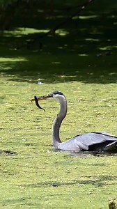 Amazing beautiful nature on Reels