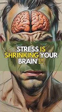 Can Stress Really Shrink Your Brain?