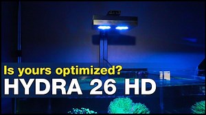 YOU asked us and WE delivered! Many of you are still successfully using the original Hydra TwentySix HD light fixtures with great success. With such a large userbase of dedicated reefers and multiple requests for a new light test around the wildly popular Hydra 26, we finally have the information you are looking for. Randy took our new approach to evaluate reef tank LEDs and covers everything from mounting configuration to light spread as well as a thorough PAR and spectrum review to find the BR