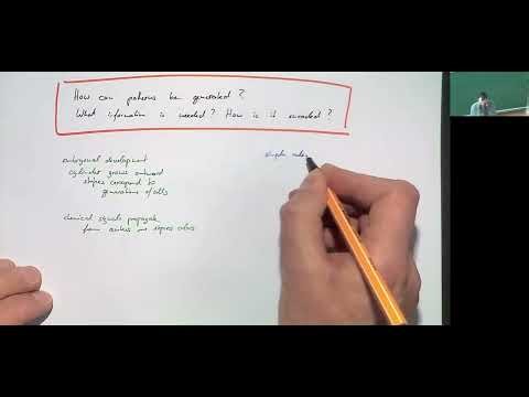1.5 complex systems pattern formation reaction-diffusion systems, stability analysis