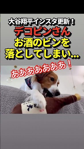 🐶デコピンがお酒を落としてしまう！大谷翔平がインスタ更新