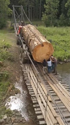 Giant Tree Log Truck Crossing a Dangerous Narrow Bridge #truck #bridge #shorts #viral