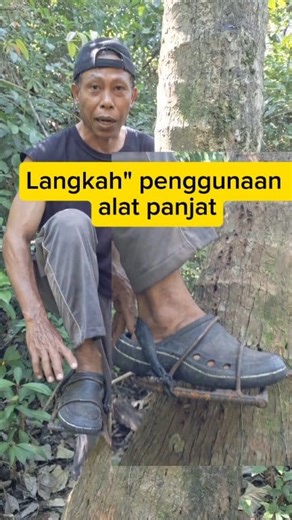 🌴SIMAK BAIK", jangan diskip! agar cepat bisa dan tetap aman Sangat mudah asal ikuti langkah"nya sampai akhir👇 #tutorialpanjat #petanicerdas #inovasipetani #kerjacerdas #petaniindonesia #petanikreatif | Widastra