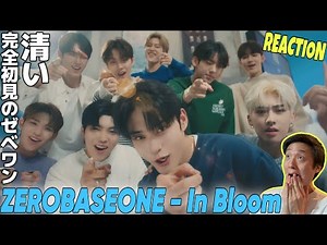 【ZEROBASEONE】完全初見でゼベワンさんを観たら爽やかすぎてぶっ飛んだ｜ZEROBASEONE (제로베이스원) 'In Bloom' MV