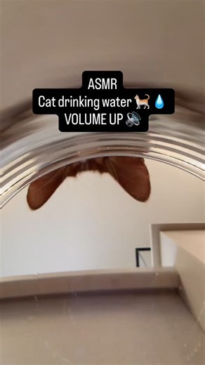 38 reactions | Here’s the raw audio with no music | The Awakening Experience | Facebook