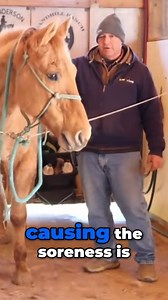 17K views · 485 reactions | Calming a Tense Horse_ Understanding His Body Language | Tim Anderson Horse Training | Facebook