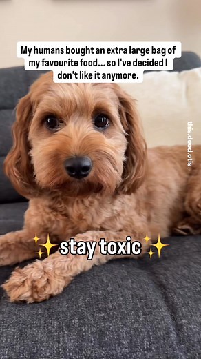 704K views · 6K reactions | Stay toxic, friends! | this.dood.otis | Facebook