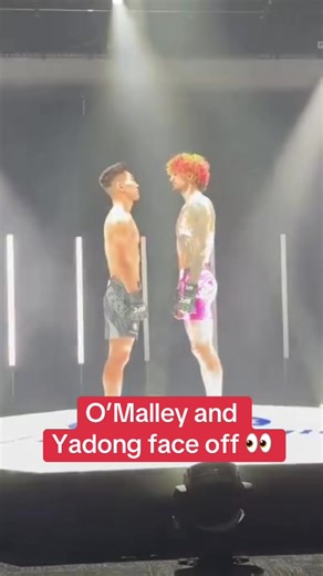Sean O'Malley vs. Song Yadong at UFC 324: What to Expect