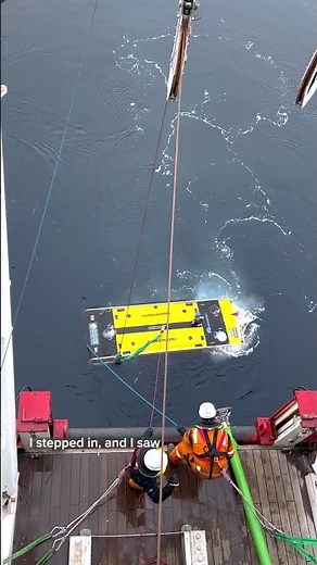 Finding the Endurance #shipwreck #shorts