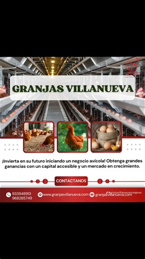 ¿BUSCAS EMPRENDER EN LA AVICULTURA? 📢 ¡Lo mejor en productos avícolas para tu granja! 🥚 En GRANJAS VILLANUEVA encontrarás: ✅ Gallinas ponedoras de excelente calidad ✅ Huevos frescos al por mayor y menor ✅ Implementos avícolas (bebederos, comederos, vitaminas, y más) 👉 Atendemos pedidos grandes y pequeños, con garantía y confianza. 📍 [LIMA- CARABAYLLO] 📞 Contáctanos: 933 948 913 - 968 285 749 | Granjas Villanueva
